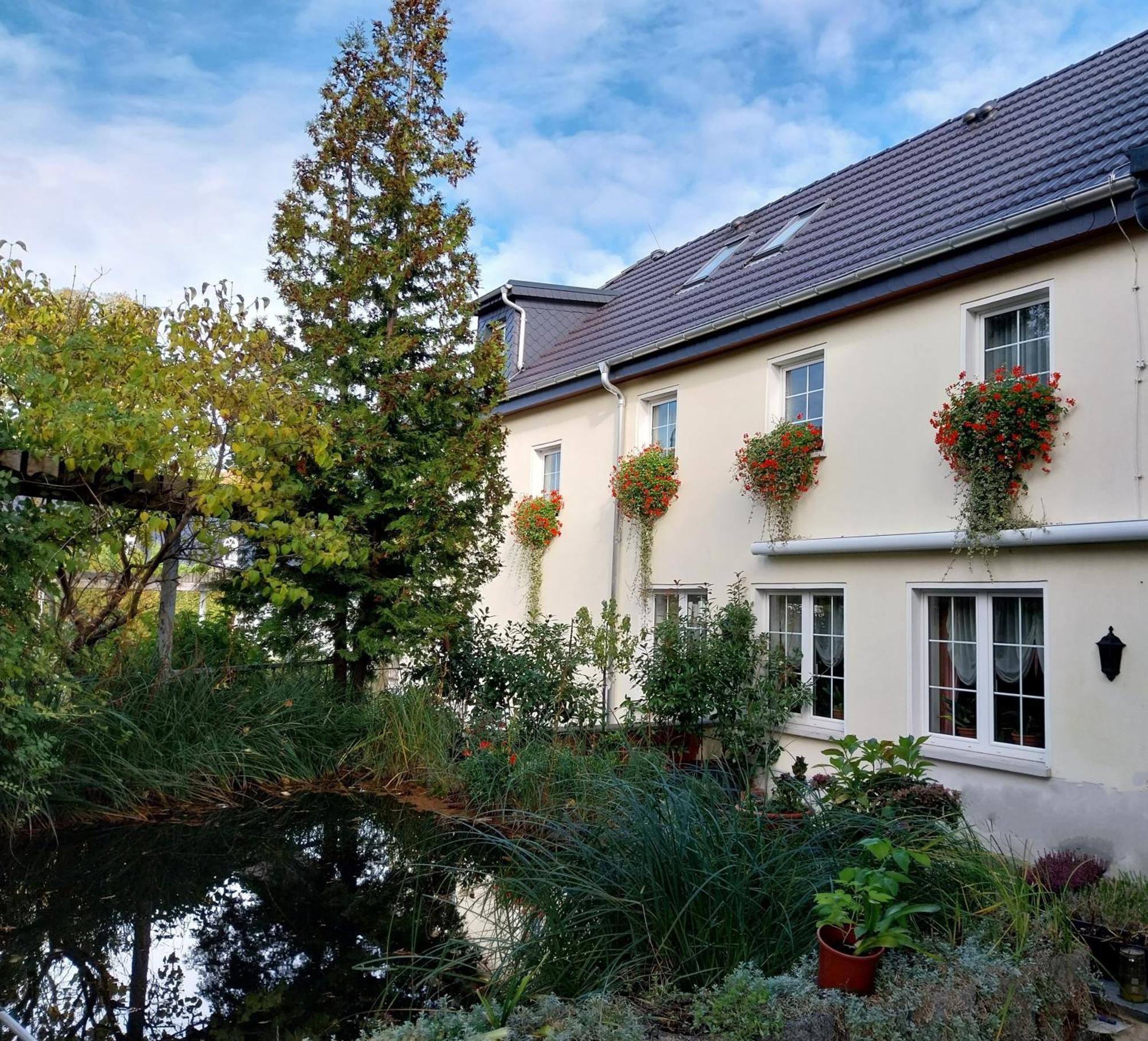 Ferienwohnung - Landhotel Waldschloesschen Sohland an der Spree Exteriör bild