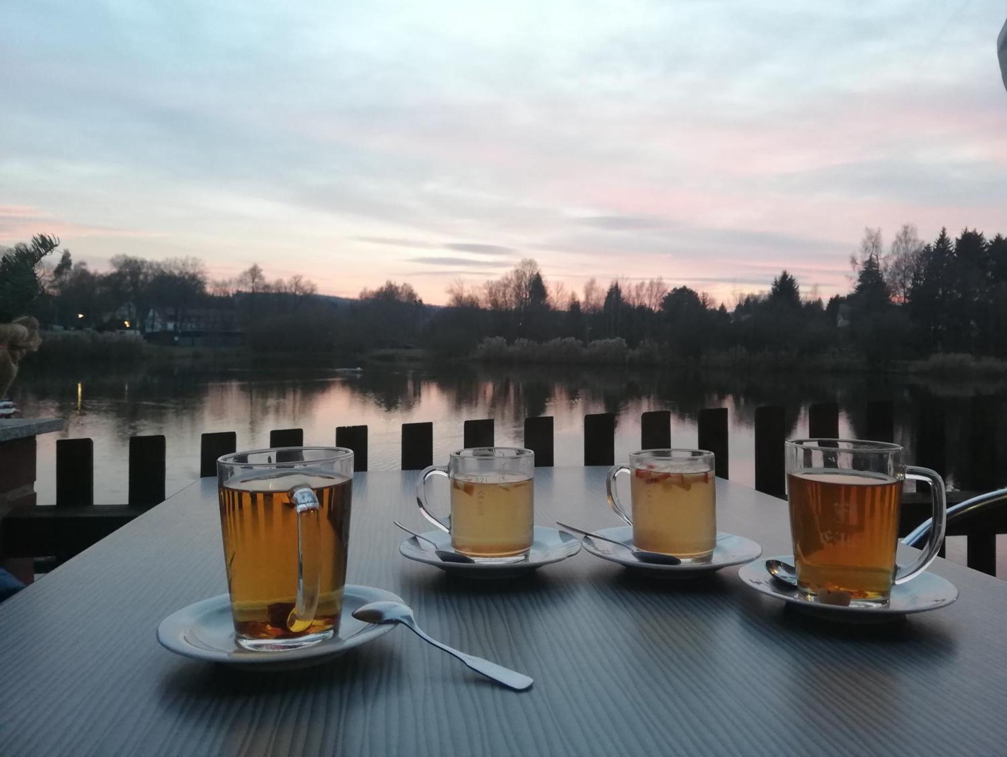 Ferienwohnung - Landhotel Waldschloesschen Sohland an der Spree Exteriör bild