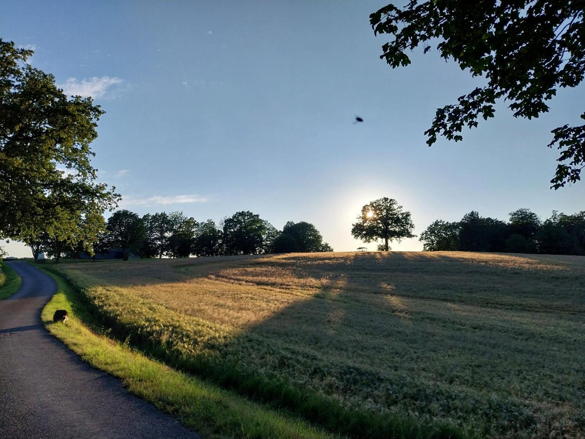 Ferienwohnung - Landhotel Waldschloesschen Sohland an der Spree Exteriör bild